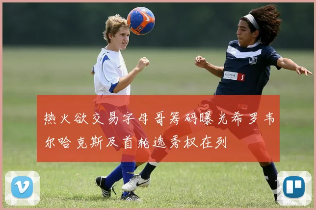 热火欲交易字母哥筹码曝光希罗韦尔哈克斯及首轮选秀权在列