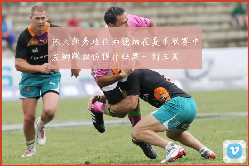 热火新秀迈伦加德纳在夏季联赛中左脚踝扭伤预计缺席一到三周